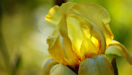 ��� ������� �������