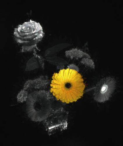 Ƹ���� �������.