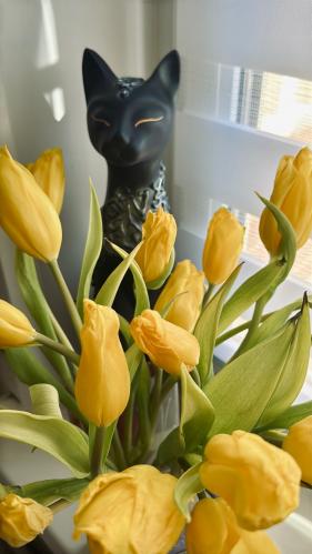 ��� �����