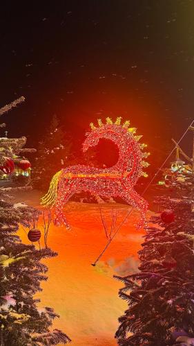 ���� �����