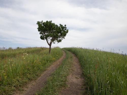 ��������...� ������