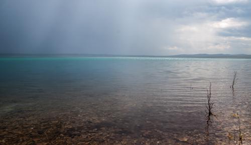 ����� ������