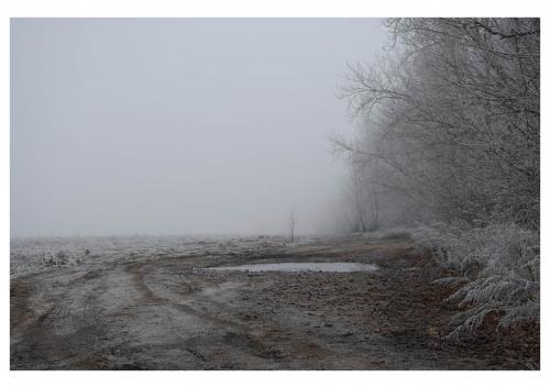 ��� ������� 