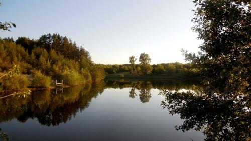 ����������� ����