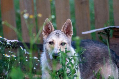 ������������