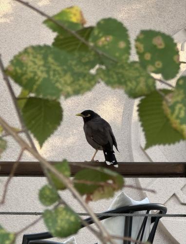 ����� � �����