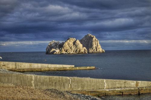 �������