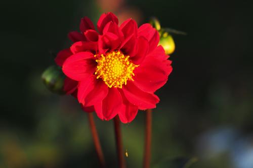 �������� ��������...