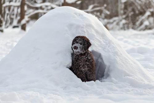 � � ������