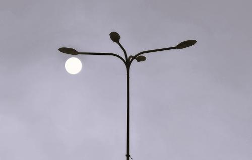 ������ ������