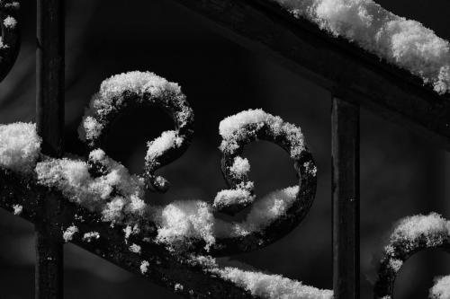 �������� ��������� 