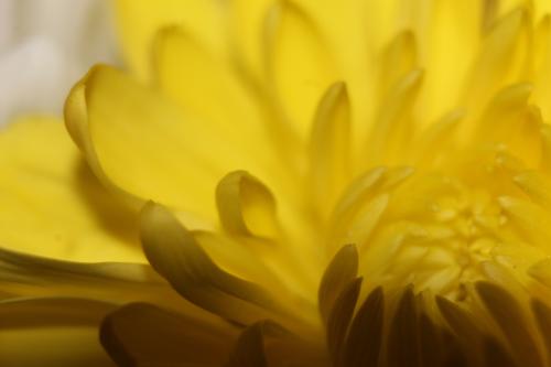 � ������