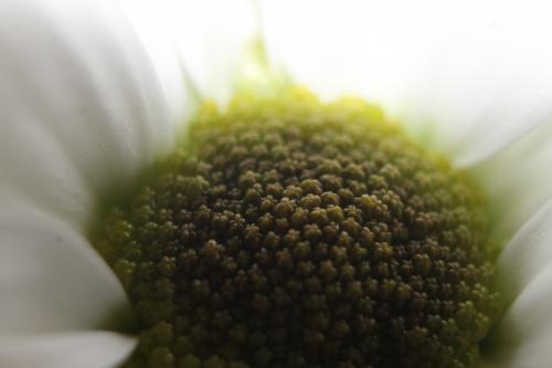 ��������� ���