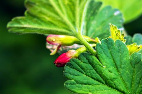 �������� ����������