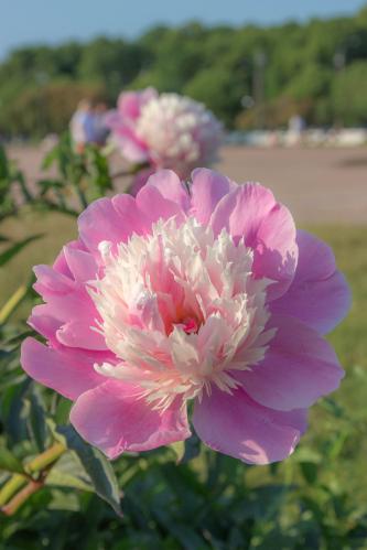 ���������� �����