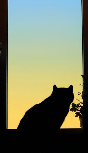 ����� �� ������