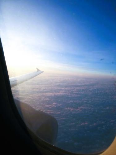 ����������� ����