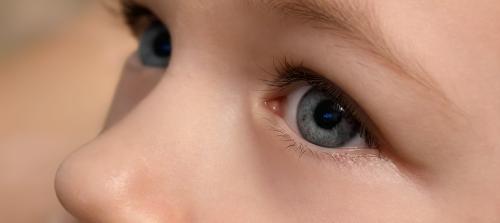 ����� ������� ����