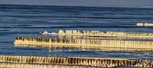 ��������� ����������� ����