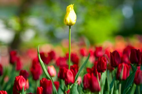 �� ����� ��� ��� 