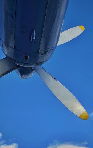 ������-�������