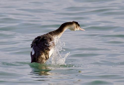 �� ���� �����