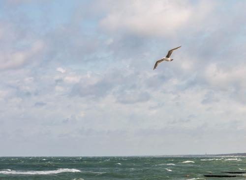 ���� �������