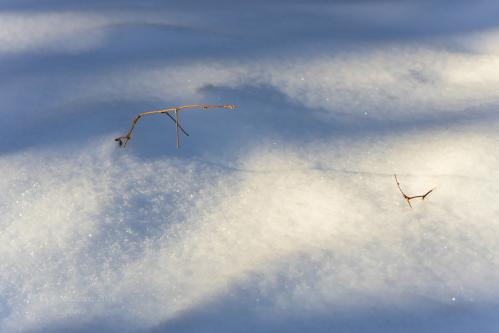 ������ ����������