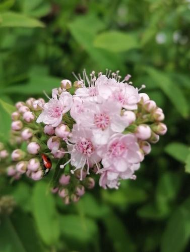 ����� �������