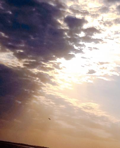 ����� ������