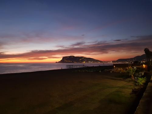 ����� ������