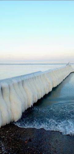 ˸� ���� ���� 