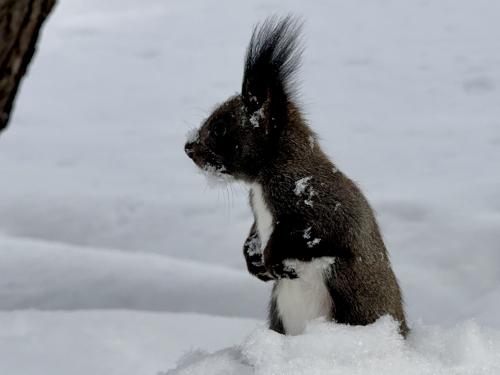 ������� � �����