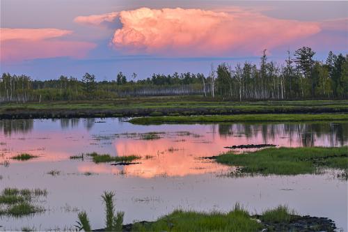 ����� �� �����