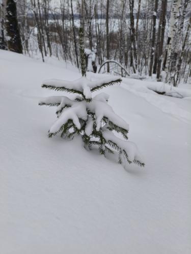 ��������� ������ ������� �����