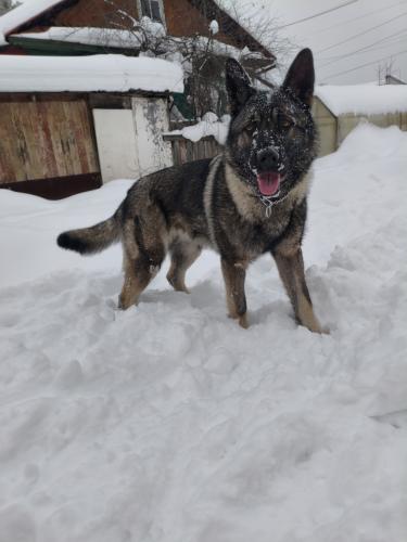 ��������?