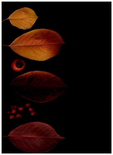 ���������� � �����������