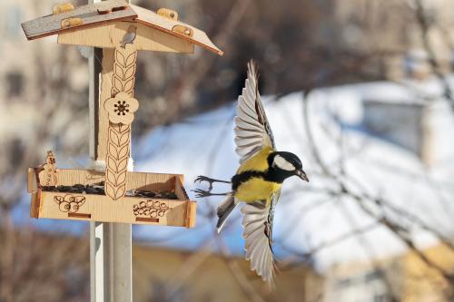 �������. 