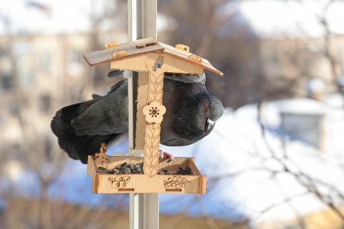 ��������� �����. 