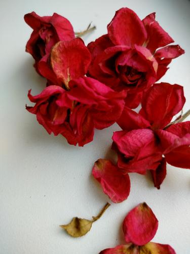 ��������� �� ������� ���