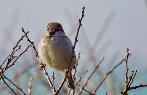 ���������� � ���������� )