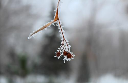 ���� �� ����