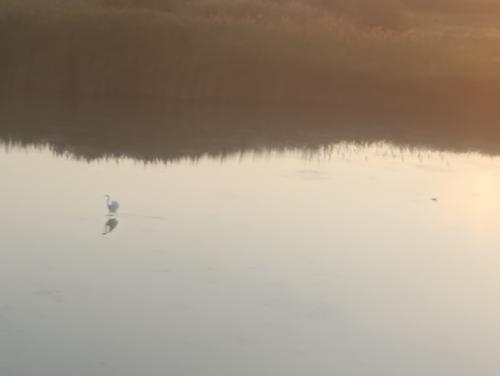 ������ � ������