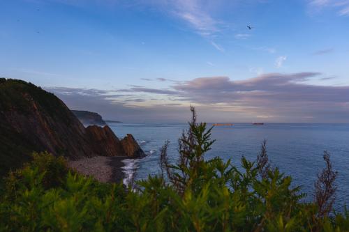 ����� �����