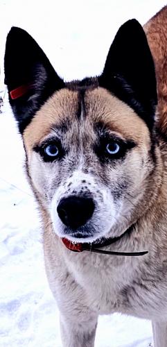 ������������ ����������