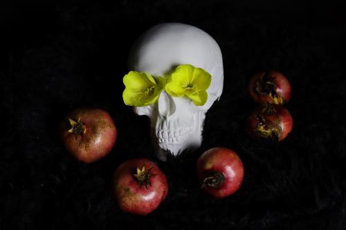 ������ �����