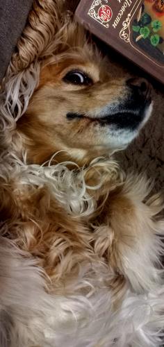 �� ����������