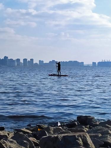 �� ������� ������