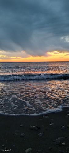 �������� ����