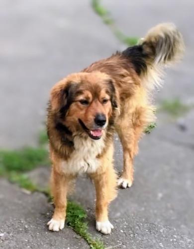 ������ - �������� �������.